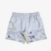 MANTO fight shorts TERRA gray
